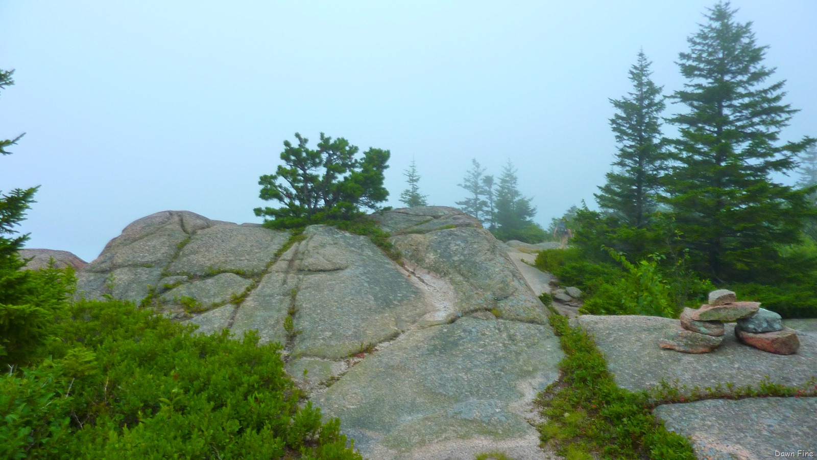 [Gorham mt hike_138.jpg]
