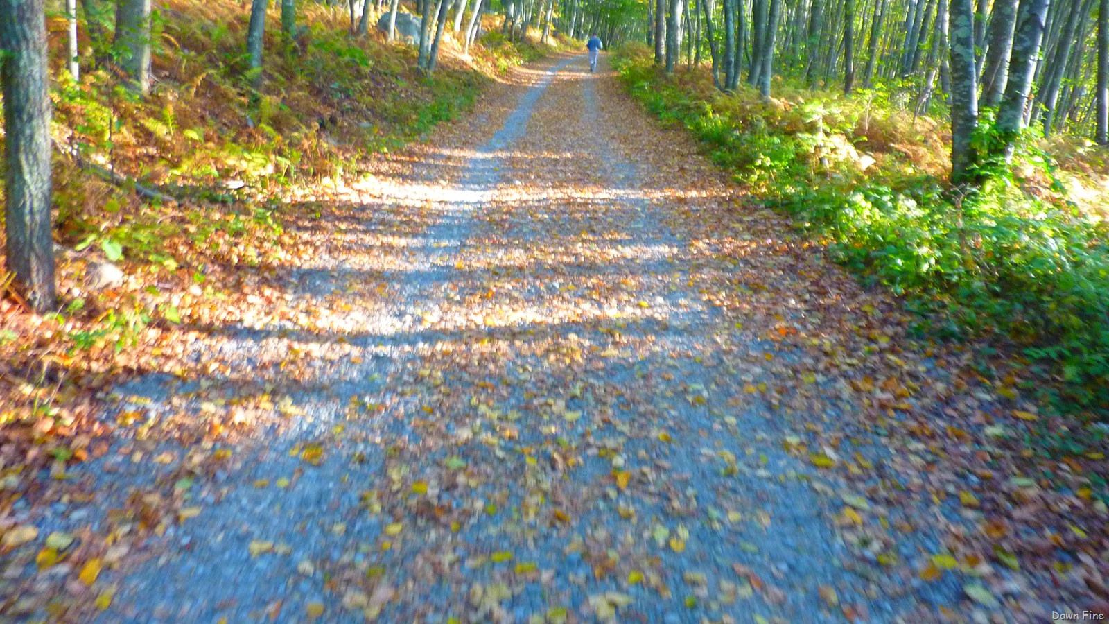 [Bluffpoint_0023.jpg]