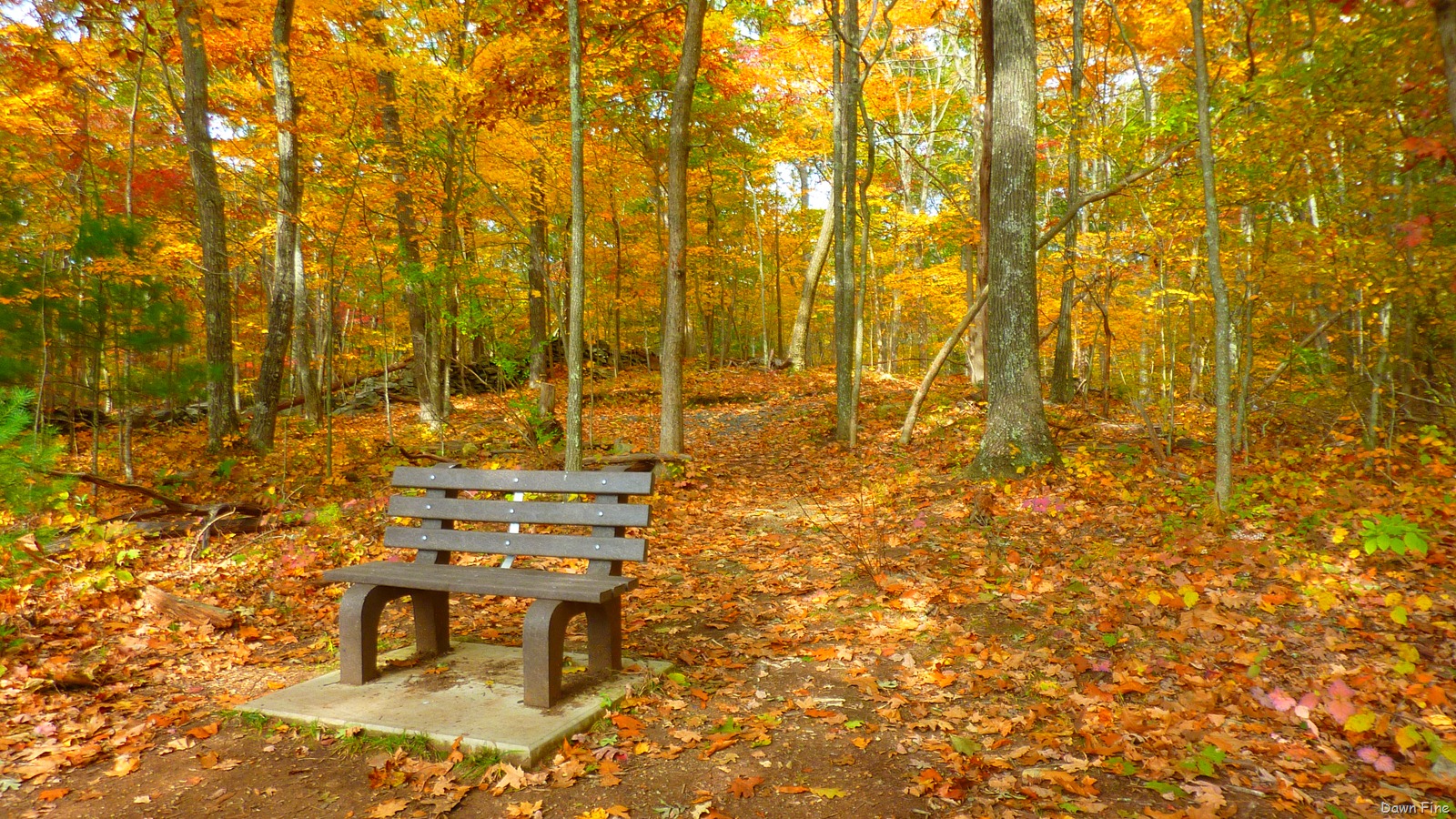 [Lantern-Hill_0654.jpg]