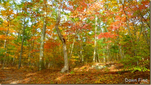 Lantern Hill_071 Lantern Hill_071