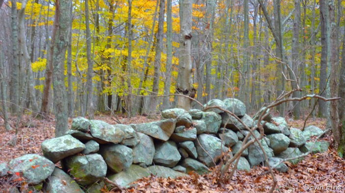 [Bluff point _023[4].jpg]