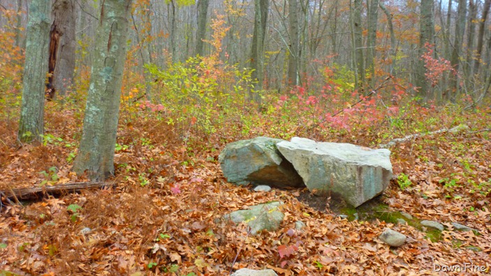 [Bluff point _004 - Copy[4].jpg]