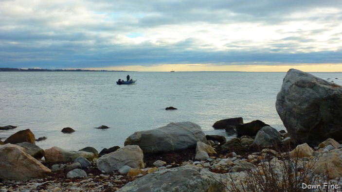 [Bluff point _057[10].jpg]