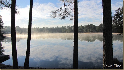 harris neck nwr_001 (1)