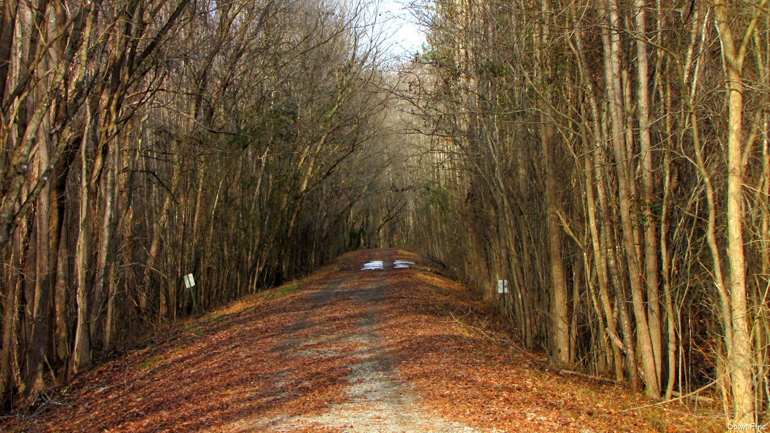 [Pee Dee_083[11].jpg]