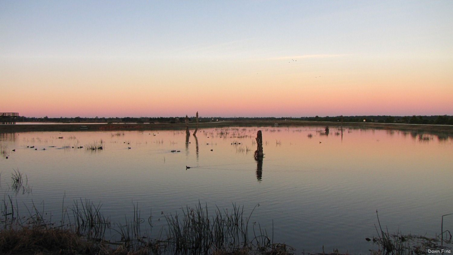 [Viera-wetlands_0055.jpg]