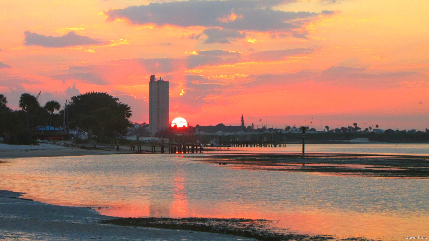 [Hutchinson-Island_2261.jpg]