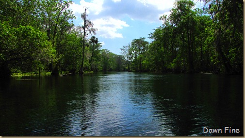 Silver Springs State Park_154