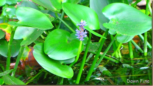 Silver Springs State Park_120