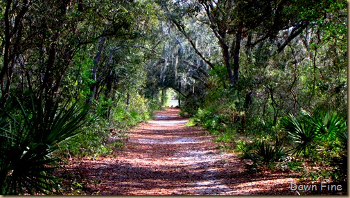 Silver Springs State Park_264
