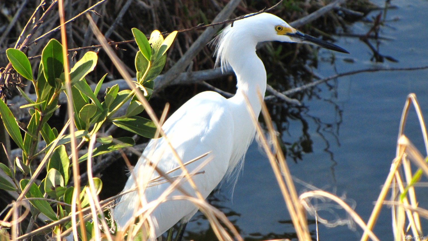 [Black Point drive, Gator road_042.jpg]