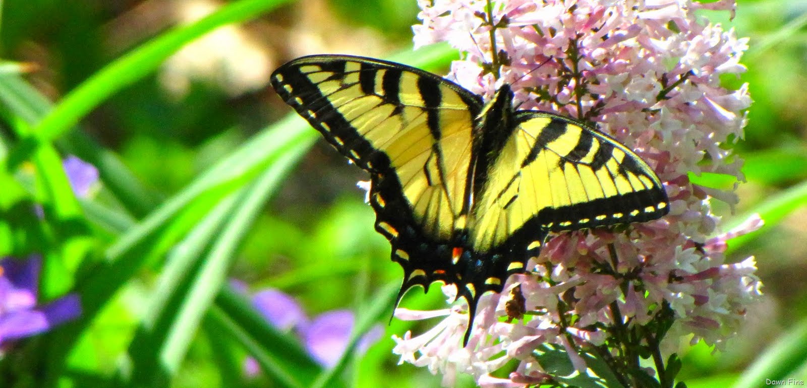 [Sickstas-_0115.jpg]