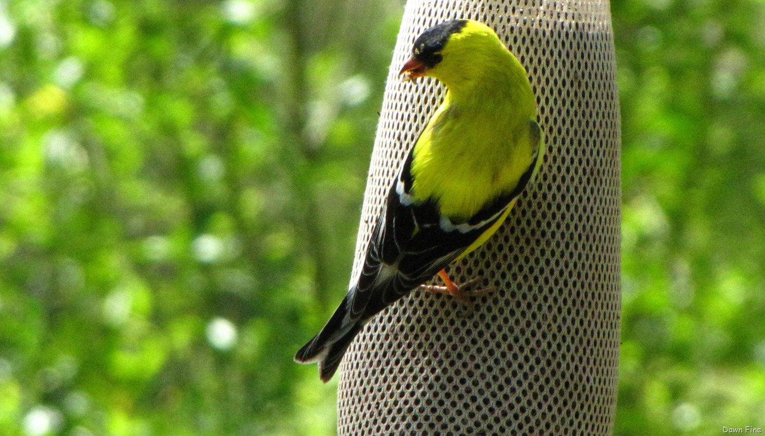 [Sickstas-_0284.jpg]