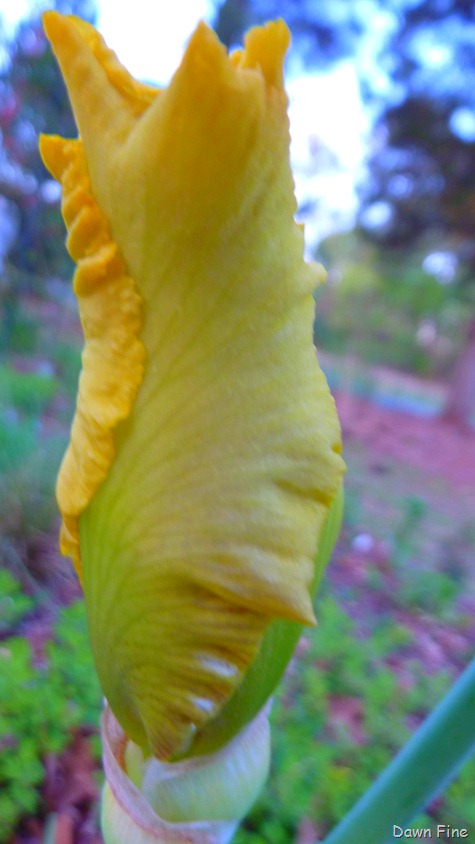 [Sickstas storm and more_035[6].jpg]