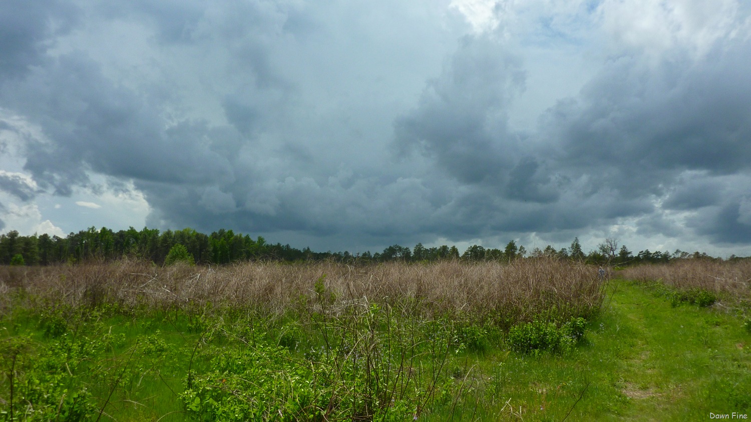[Clouds near Cassins Sp_010[6].jpg]