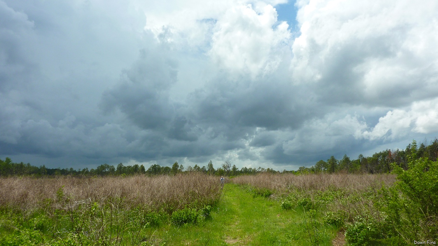 [Clouds near Cassins Sp_007[6].jpg]