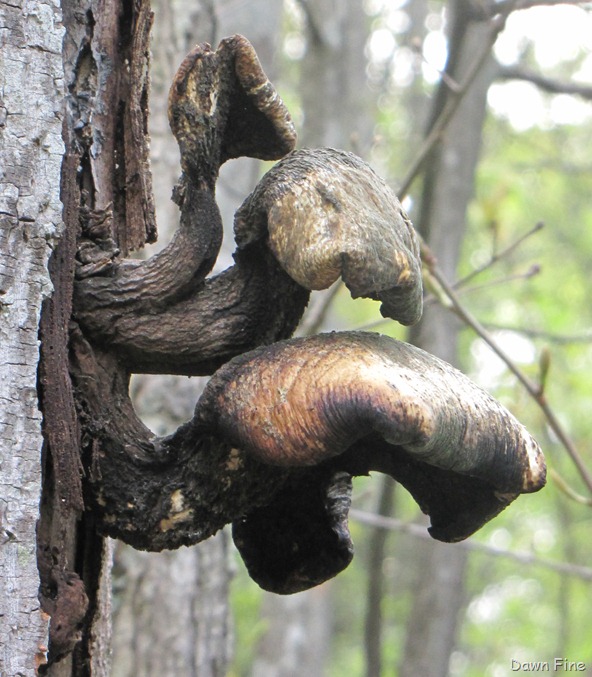 [New-River-Day-1_0025.jpg]