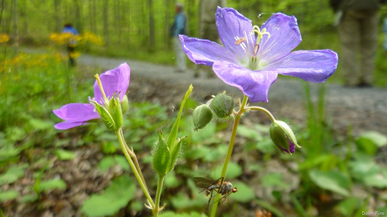 [new-river-day-1_026-15[1].jpg]