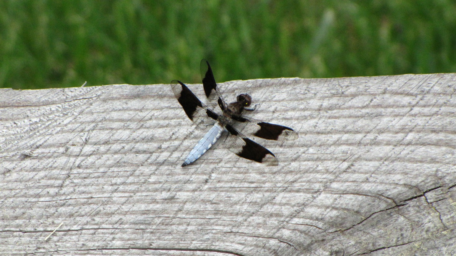 [New-River-Day-1_0353.jpg]