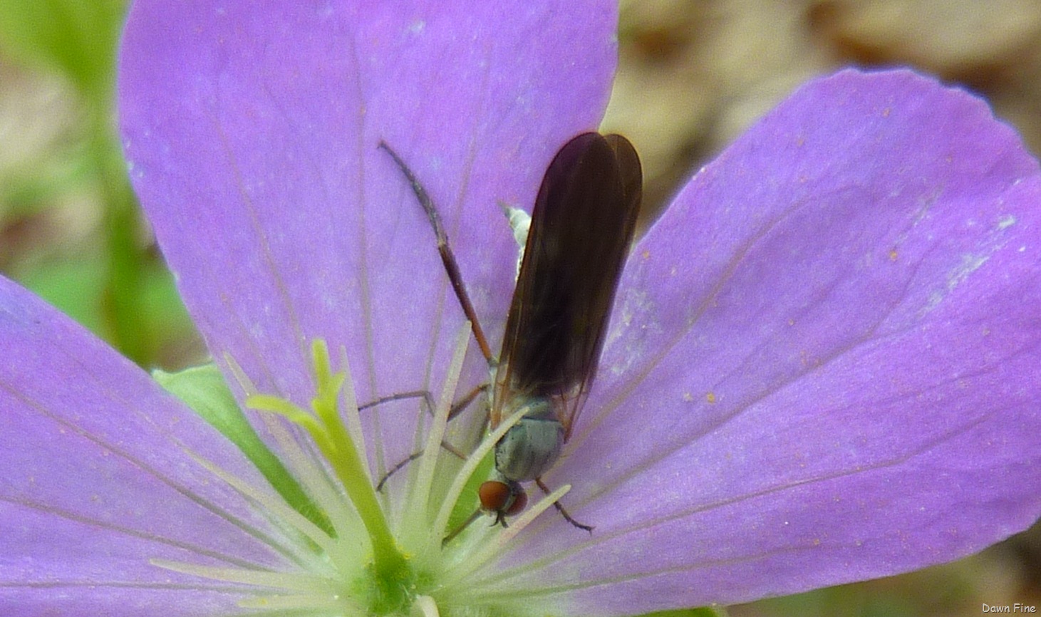 [new-river-day-1_1154.jpg]