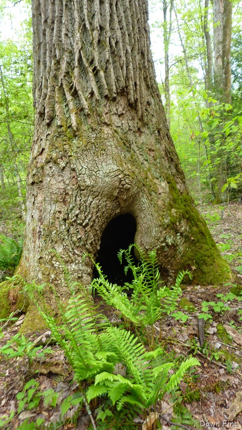 [new-river-day-1_135.jpg]