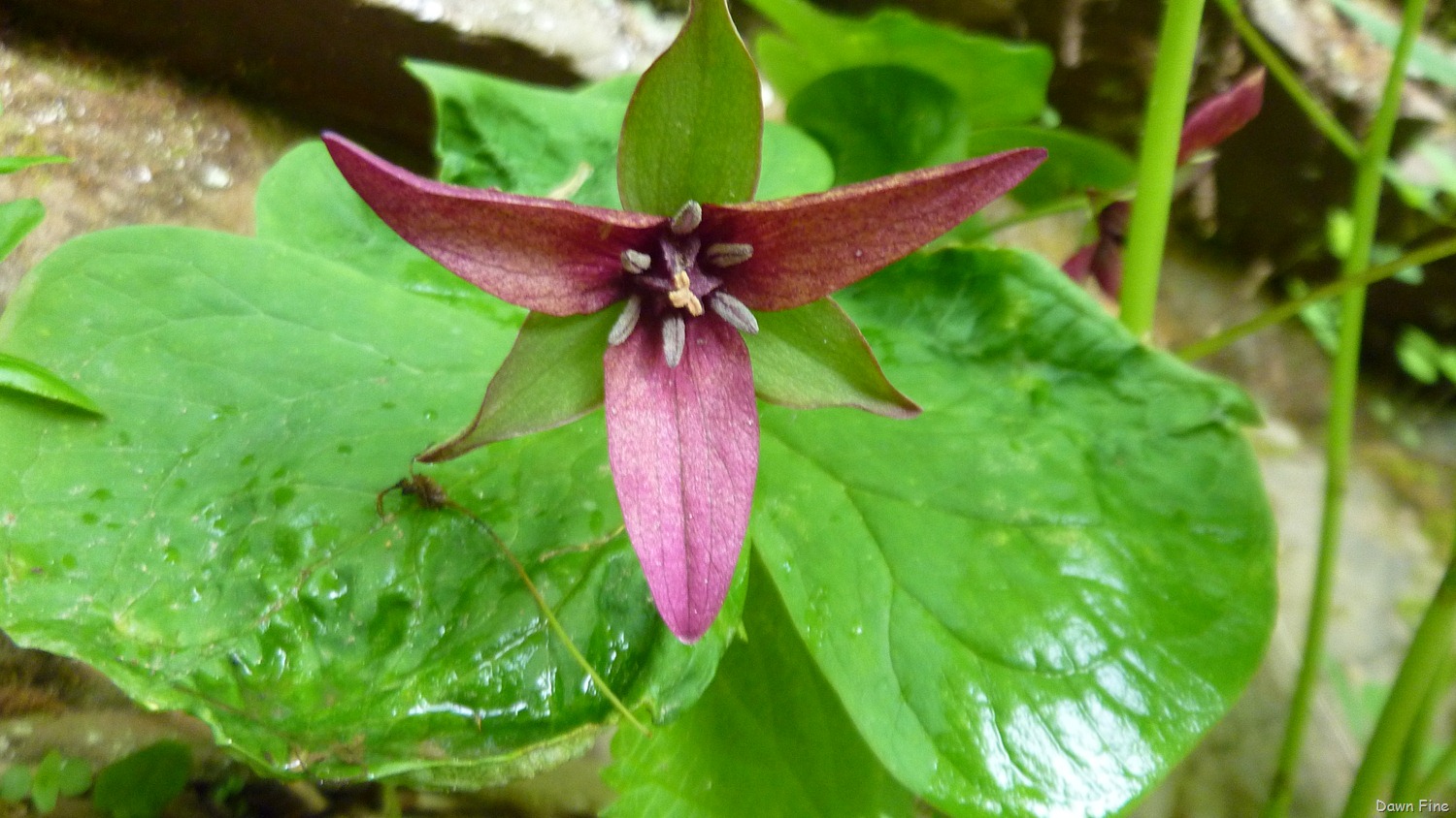 [New-River-day-2_0443.jpg]