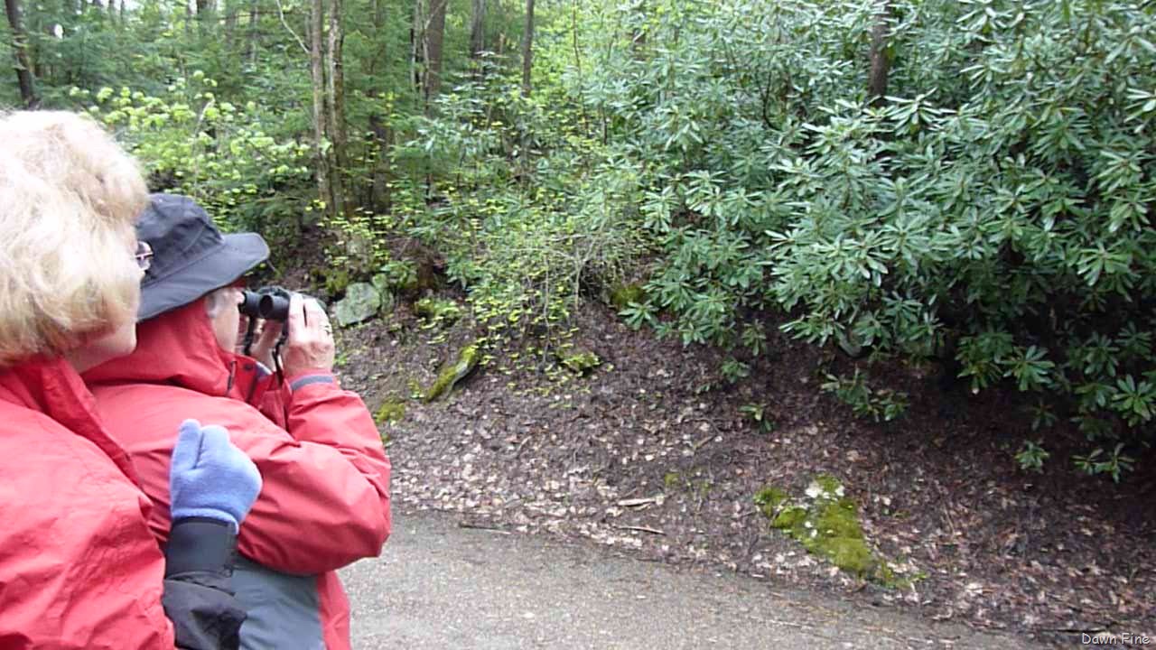 [new-river-day-3_0323.jpg]