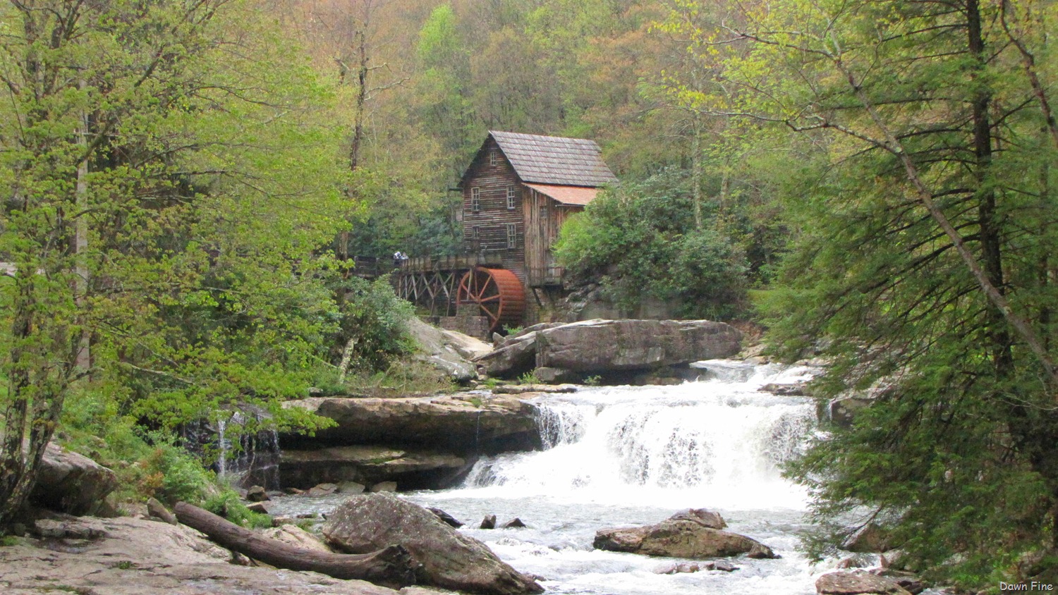 [new river day 3_006 (1).jpg]