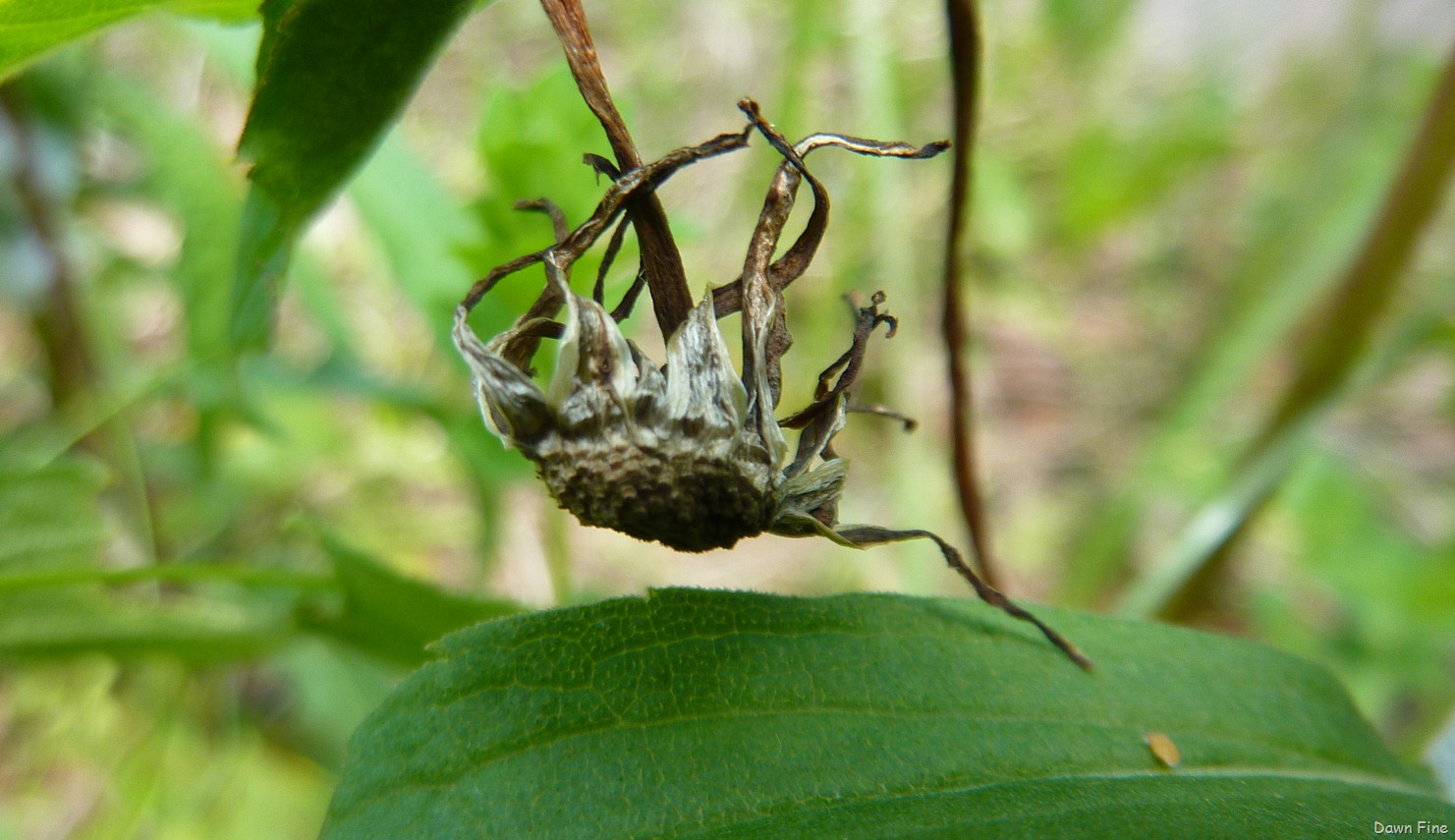 [New-River-Day-4_029.jpg]