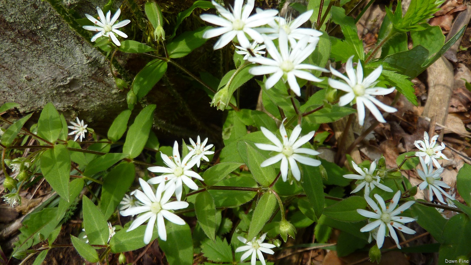 [New-River-day-5_0043.jpg]