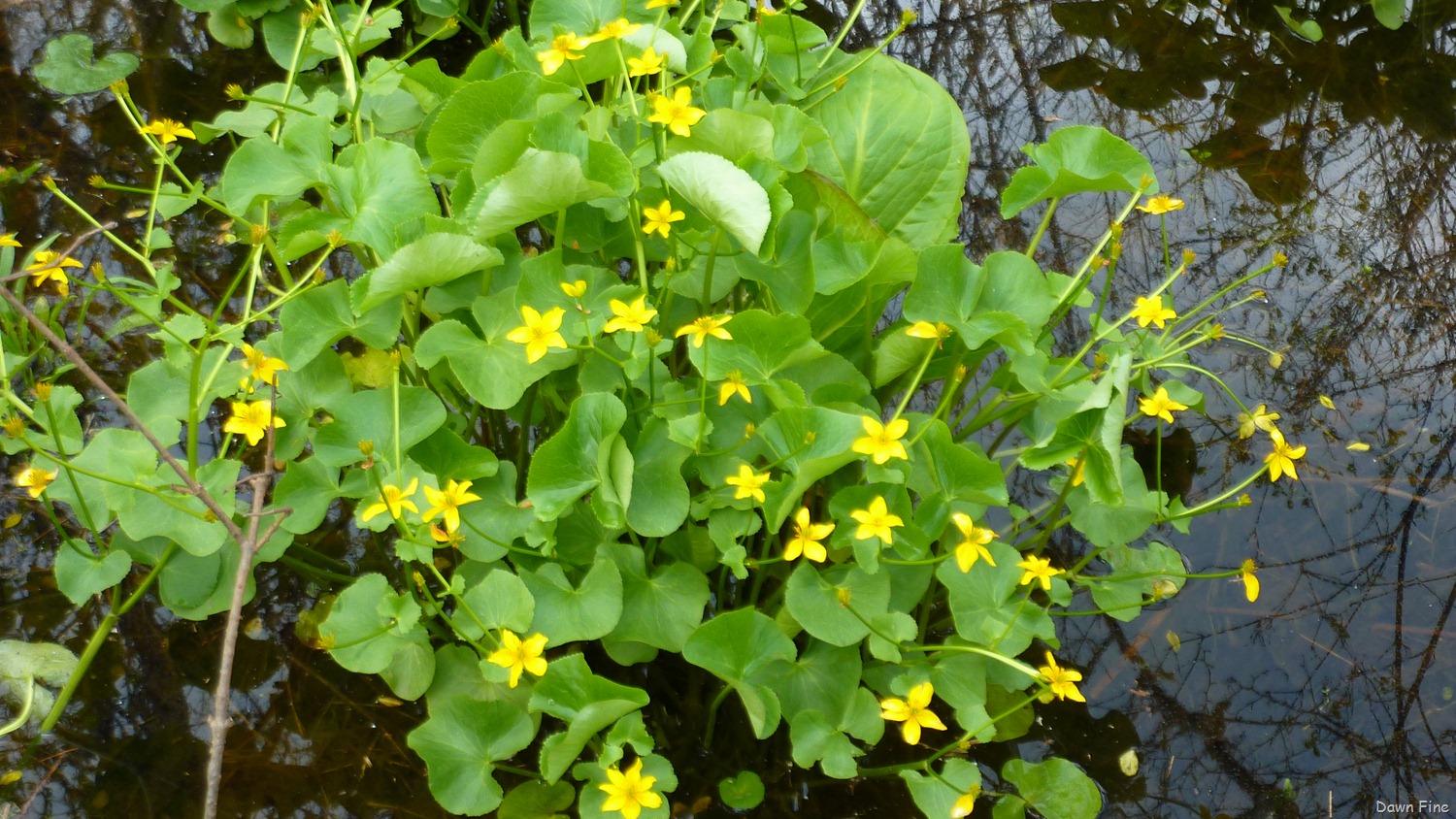 [NEW-river-day-6_0313.jpg]