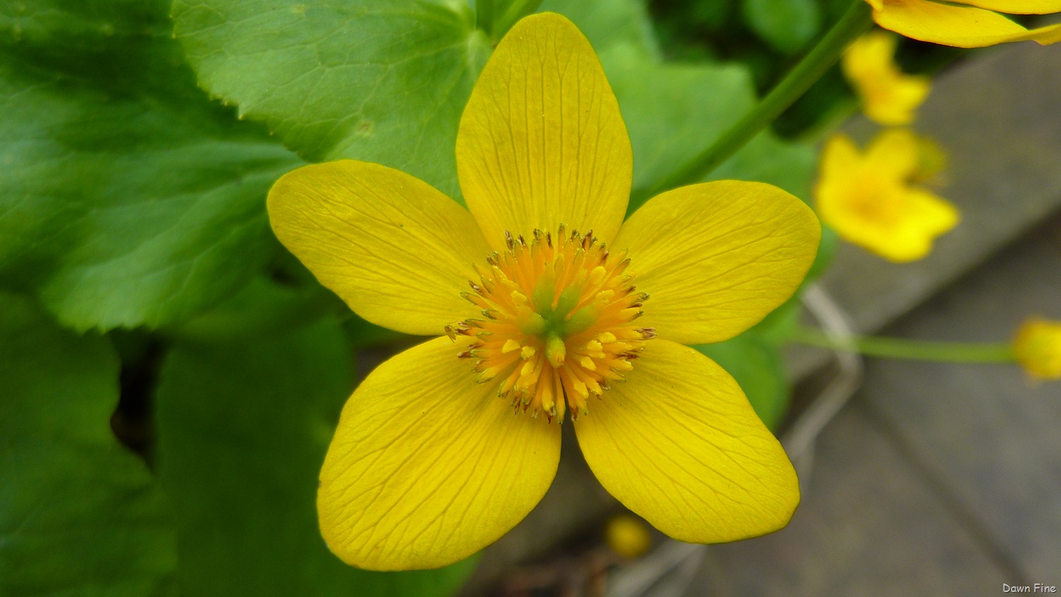 [NEW-river-day-6_0463.jpg]