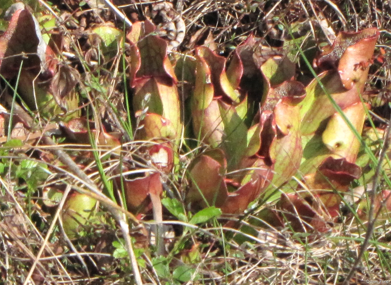 [new river day 6 (2)[10].jpg]