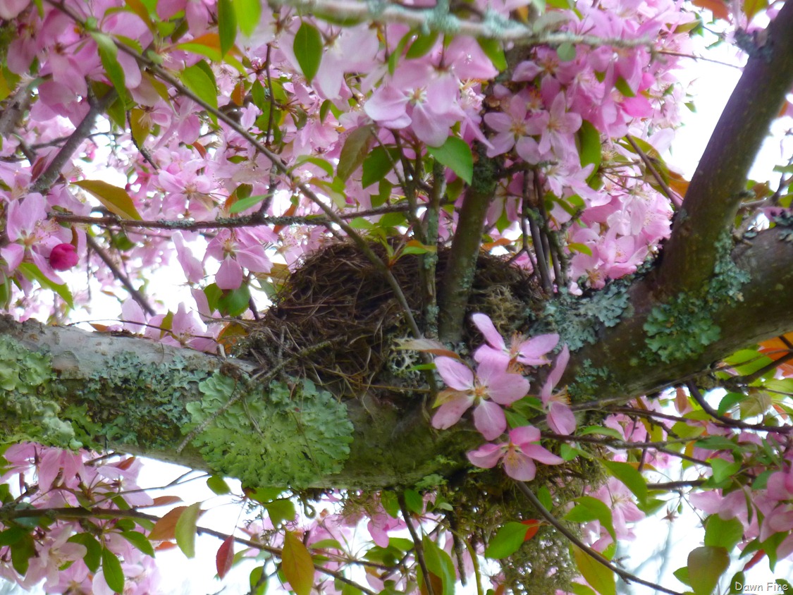 [NEW river day 6_063.jpg]