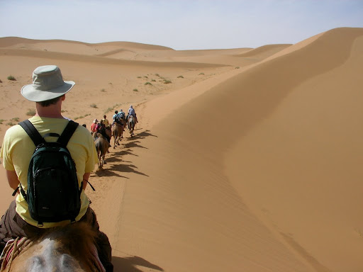 the classic camel caravan photo