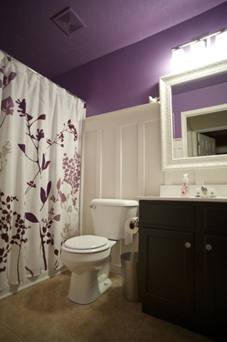 [board-batten-purple-bathroom_thumb[2].jpg]