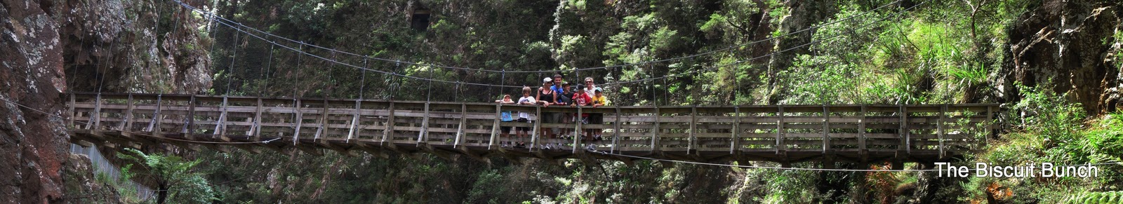 [Bridge2[3].jpg]