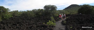 DownHill