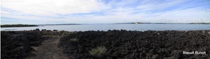 BrownsIsland