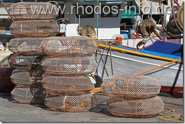 symi_f symi_f