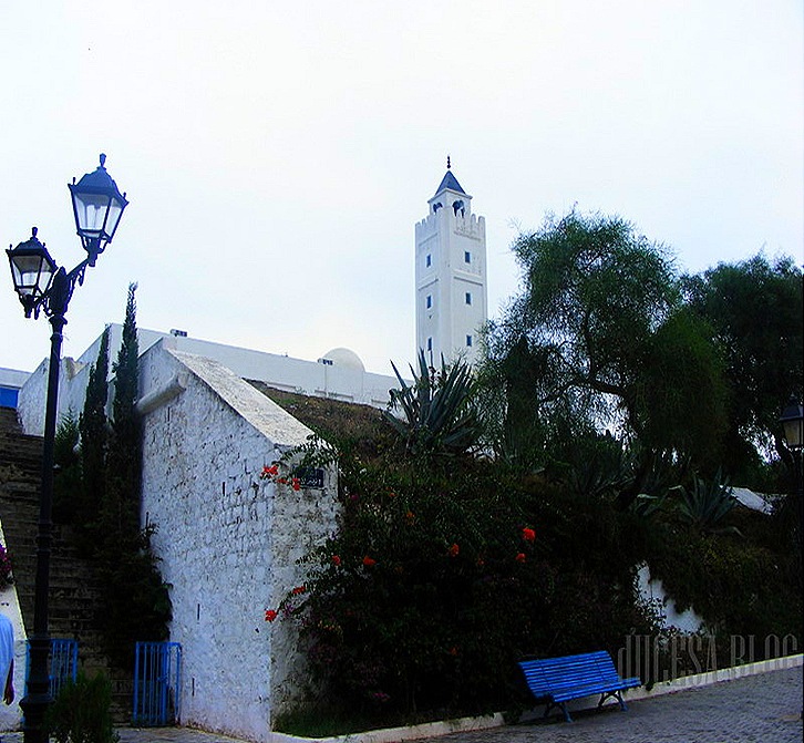 TUNISIA 2009 115 TUNISIA 2009 115