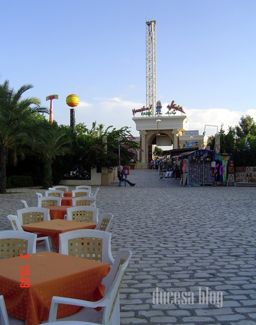 DSC05901 DSC05901