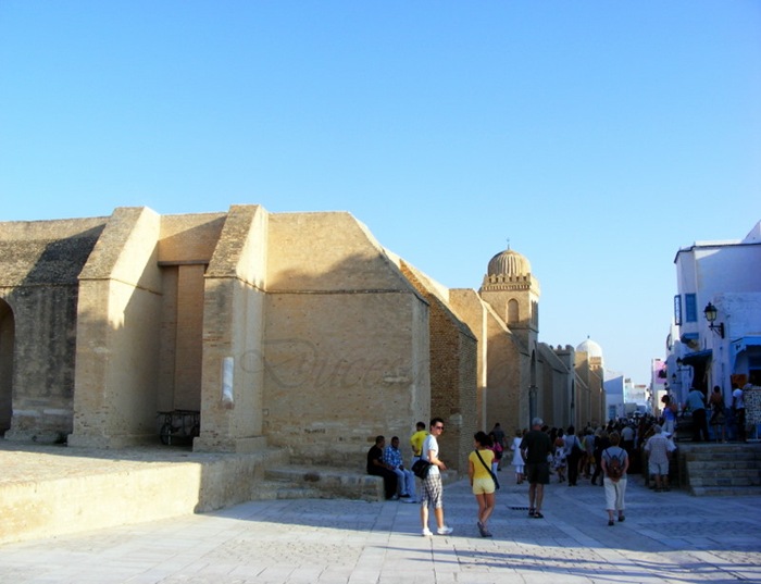 TUNISIA 2009 487 TUNISIA 2009 487