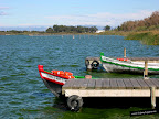 Foto de unas barcas en la Albufera