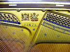 Richard Lipp upright