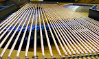 bechstein model IV upright 1899