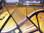 bechstein model IV upright 1899