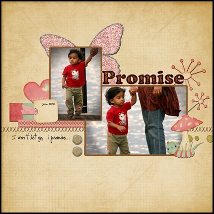 promise_web