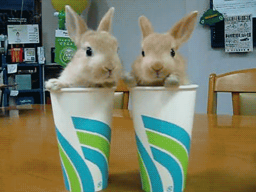 tumblr_la1mwt6A6V1qzqawbo1_500 tumblr_la1mwt6A6V1qzqawbo1_500