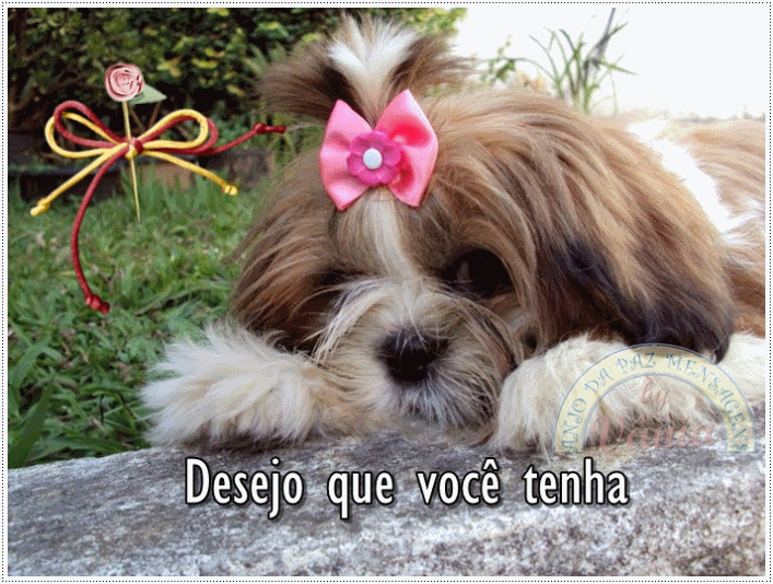Imagem relacionada